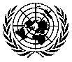 UN Logo