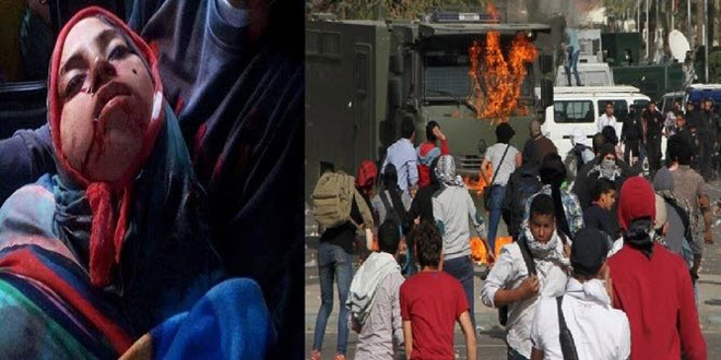 ������� ����� ������ 28 ���� 2014 , ���� �� ����� ������ ,  ������� ������� ����� ����